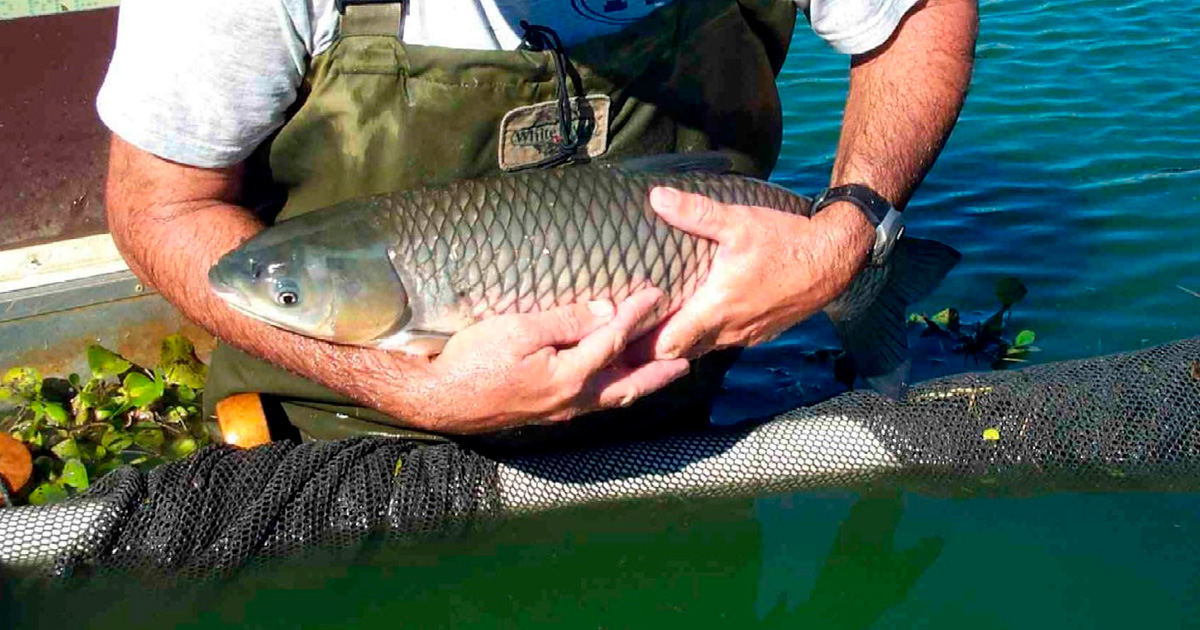 1 fishing in pokhara