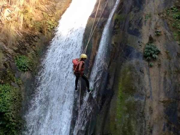 1422395 947269762014425 2448392210448511644 N