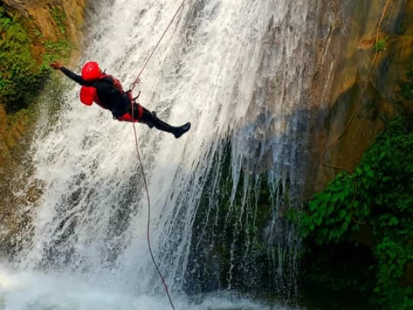 248527311 3017529375233063 1586073593328283115 N