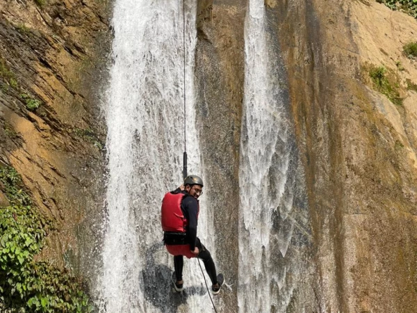 278417367 3147543822231617 898434483293330892 N