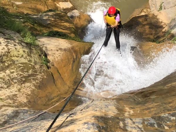 279373262 3155644284754904 6010330538089811622 N