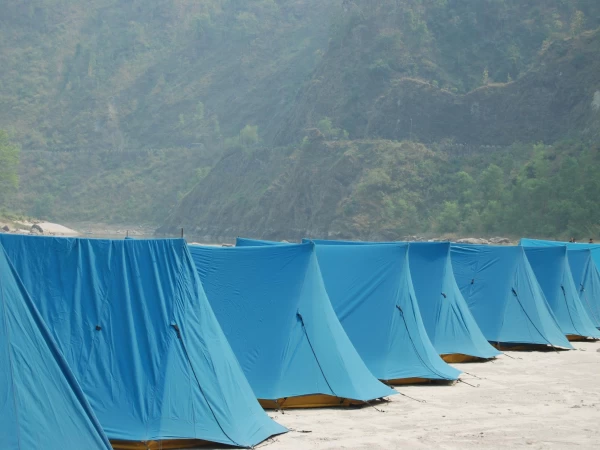 462682583 8887289184666882 4258093036969487239 N